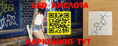 крисы Кинель
