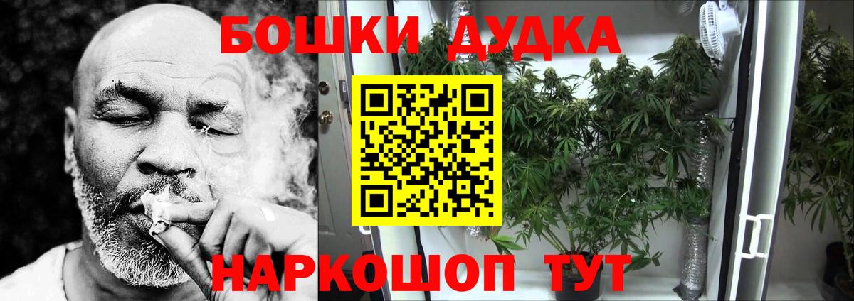 Кизляр  Конопля план  Вход с VPN  Бошки марихуана тримм  Бошки Шишки индика  Марихуана Bruce Banner 